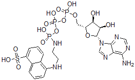 CAS 登录号：102415-55-4， 5-[2-[[[[[(2R,3S,4R,5R)-5-(6-氨基嘌呤-9-基)-3,4-二羟基四氢呋喃-2-基]甲氧基-羟基磷酰]氧基-羟基磷酰]氧基-羟基磷酰]氨基]乙基氨基]萘-1-磺酸