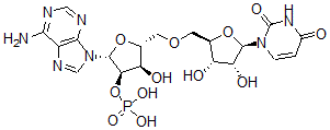 CAS 登录号：10453-52-8， 尿苷酰基-(2'-5')-腺苷