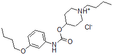 CAS 登录号:105384-14-3, (1-丁基哌啶-1-鎓-4-基)N-(3-丁氧基苯基)氨基甲酸酯氯化物