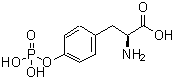 CAS#: 108321-25-1, O-Phosphonotyrosine