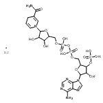 CAS 登录号：108321-28-4， alpha-烟酰胺腺嘌呤二核苷酸磷酸酯钠盐