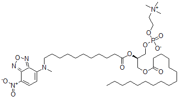 CAS#: 108535-67-7, [(2R)-3-Hexadecanoyloxy-2-[11-[Methyl-(4-Nitro-2,1,3-Benzoxadiazol-7-Yl)Amino]Undecanoyloxy]Propyl] 2-Trimethylazaniumylethyl Phosphate