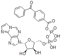 CAS 登录号：110682-84-3， [[[(2R,3S,4R,5R)-3,4-二羟基-5-咪唑并[2,1-f]嘌呤-3-基四氢呋喃-2-基]甲氧基-羟基磷酰]氧基-羟基磷酰]4-(苯甲酰基)苯甲酸酯