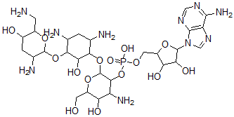 CAS 登录号：114550-26-4， 2''-(腺苷-5'-磷酰)妥布霉素