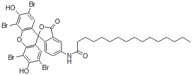 CAS 登录号：114586-25-3， 5-(N-棕榈酰)氨基曙红
