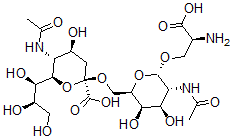 CAS#: 114661-01-7, (2R,4S,5R,6R)-5-Acetamido-2-[[(2R,3R,4R,5R,6S)-5-Acetamido-6-[(2S)-2-Amino-3-Hydroxy-3-Oxopropoxy]-3,4-Dihydroxyoxan-2-Yl]Methoxy]-4-Hydroxy-6-[(1R,2R)-1,2,3-Trihydroxypropyl]Oxane-2-Carboxylic Acid