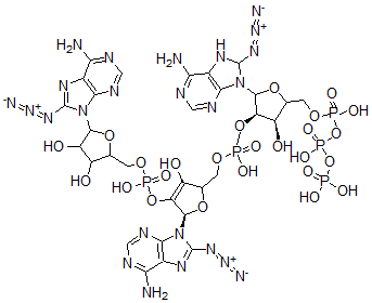 CAS#: 117146-01-7, 5'-O-Triphosphoryl-8-Azidoadenylyl-(2'-5')-8-Azidoadenylyl-(2'-5')-8-Azidoadenosine