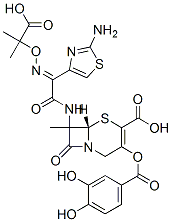 CAS 登录号：118680-12-9， 7-(2-(2-氨基噻唑-4-基)-2-(1-羧基-1-甲基乙氧基亚氨基)乙酰氨基)-3-(3,4-二羟基苯甲酰氧基)甲基-3-头孢烯-4-羧酸