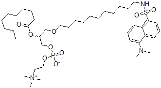 CAS 登录号：118790-13-9， 1-O-(N-丹磺酰-11-氨基-1-十一烷基)-2-O-癸酰磷脂酰胆碱