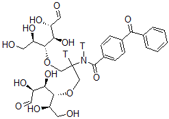 CAS 登录号：119188-97-5， 2-N-(4-苯甲酰基)苯甲酰基-1,3-二(甘露糖-4-基氧基)-2-丙胺