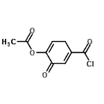 CAS 登录号：119735-52-3， 4-(氯甲酰基)-6-氧代-1,4-环己二烯-1-基乙酸酯