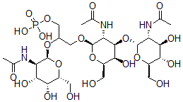 CAS 登录号：119903-55-8， 聚糖胶囊6,胸膜肺炎放线杆菌
