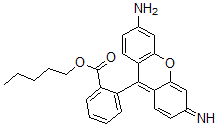 CAS 登录号：120167-03-5， 2-(3-氨基-6-亚氨基氧杂蒽-9-基)苯甲酸戊酯