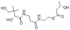 CAS#: 120497-19-0, 3-Hydroxybutyrylpantetheine