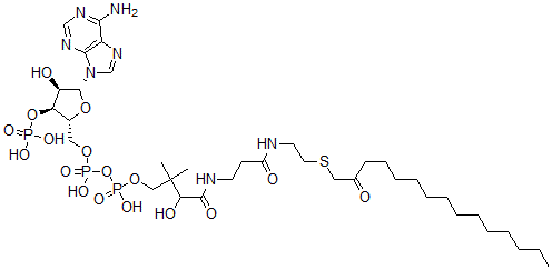 CAS#: 121124-66-1, S-(2-oxopentadecyl)-Coenzyme A