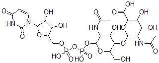 CAS 登录号：121324-56-9， 尿苷 5'-(O-2-乙酰氨基-2-脱氧吡喃甘露糖酸-(1-4)-2-乙酰氨基-2-脱氧吡喃葡萄糖基二磷酸酯)