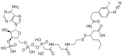 CAS#: 121368-75-0, N-(3-Iodo-4-Azidophenylpropionamido)Cysteinyl-5-(2'-Thiopyridyl)Cysteine-Coenzyme A