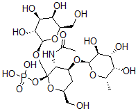 CAS#: 122998-77-0, [(2R,3R,4S,6S)-3-Acetamido-6-(Hydroxymethyl)-2-[(2S,3R,4S,5R,6R)-3,4,5-Trihydroxy-6-(Hydroxymethyl)Oxan-2-Yl]Oxy-4-[(2R,3S,4R,5S,6S)-3,4,5-Trihydroxy-6-Methyloxan-2-Yl]Oxyoxan-2-Yl] Dihydrogen Phosphate