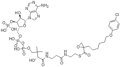 CAS#: 124122-91-4, Etomoxiryl-coenzyme A
