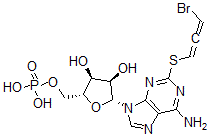 CAS 登录号：124379-89-1， [(2R,3S,4R,5R)-5-[6-氨基-2-(3-溴丙-1,2-二烯基硫基)嘌呤-9-基]-3,4-二羟基四氢呋喃-2-基]甲基磷酸二氢酯