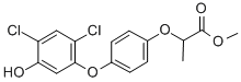 CAS 登录号：124992-48-9， 2-[4-(2,4-二氯-5-羟基苯氧基)苯氧基]丙酸甲酯