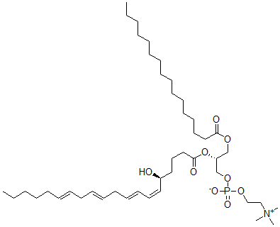 CAS 登录号：125111-41-3， [(2R)-3-棕榈酰氧基-2-[(5S,6Z,8E,11E,14E)-5-羟基二十碳-6,8,11,14-四烯酰基]氧基丙基]2-三甲基铵乙基磷酸酯盐