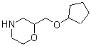 CAS#: 125444-26-0, 2-[(Cyclopentyloxy)Methyl]Morpholine