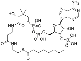 CAS 登录号：1264-52-4， 辅酶 A S-辛酸酯