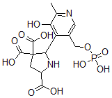 CAS#: 126706-33-0, 5-[3-Hydroxy-2-Methyl-5-(Phosphonooxymethyl)Pyridin-4-Yl]Pyrrolidine-2,4,4-Tricarboxylic Acid
