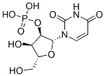 CAS 登录号：131-83-9， [(2R,3R,4R,5R)-2-(2,4-二氧代嘧啶-1-基)-4-羟基-5-(羟基甲基)四氢呋喃-3-基]磷酸二氢酯