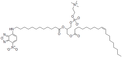CAS#: 131479-28-2, [2-[12-[(4-Nitro-2,1,3-Benzoxadiazol-7-Yl)Amino]Dodecanoyloxy]-3-[(Z)-Octadec-9-Enoyl]Oxypropyl] 2-Trimethylazaniumylethyl Phosphate