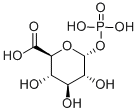 CAS 登录号：13168-11-1， alpha-D-吡喃葡萄糖醛酸 1-(磷酸二氢酯)
