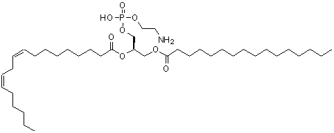 CAS 登录号：13206-00-3， 2-亚麻酰-1-棕榈酰-Sn-甘油-3-磷酰乙醇胺