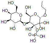 CAS 登录号：133268-59-4， 聚糖胶囊7,胸膜肺炎放线杆菌