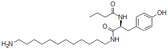 CAS 登录号：133358-74-4， N-[(2S)-1-(12-氨基十二烷基氨基)-3-(4-羟基苯基)-1-氧代丙烷-2-基]丁酰胺