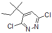 CAS#: 133740-16-6, 3,6-Dichloro-4-(2-methylbutan-2-yl)pyridazine