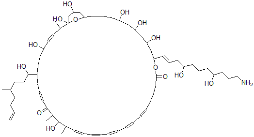 CAS 登录号：134965-82-5， 31-[(E)-11-氨基-4,8-二羟基十一碳-1-烯基]-1,5,14,33,35,37,43-七羟基-8-(1-羟基-4-甲基辛-7-烯基)-2,13,15-三甲基-30,45-二氧杂双环[39.3.1]四十五碳-3,10,16,18,20,22,24-七烯-12,29-二酮