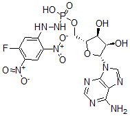 CAS#: 135101-78-9, [(2R,3S,4R,5R)-5-(6-Aminopurin-9-Yl)-3,4-Dihydroxyoxolan-2-Yl]Methoxy-N-[(5-Fluoro-2,4-Dinitrophenyl)Amino]Phosphonamidic Acid
