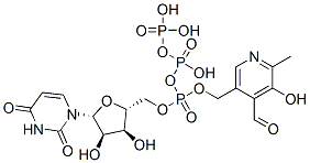 CAS 登录号：135145-98-1， [[(2R,3S,4R,5R)-5-(2,4-二氧代嘧啶-1-基)-3,4-二羟基四氢呋喃-2-基]甲氧基-[(4-甲酰基-5-羟基-6-甲基吡啶-3-基)-羟基甲基]磷酰]膦酰氢磷酸酯