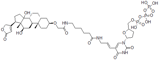 CAS#: 137067-07-3, Digoxigenin-11-2',3'-dideoxyuridine 5'-triphosphate