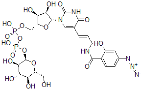CAS#: 137731-71-6, [(2R,3S,4R,5R)-5-[5-[(E)-3-[(4-Azido-2-Hydroxybenzoyl)Amino]Prop-1-Enyl]-2,4-Dioxopyrimidin-1-Yl]-3,4-Dihydroxyoxolan-2-Yl]Methyl [Hydroxy-[(2R,3R,4S,5S,6R)-3,4,5-Trihydroxy-6-(Hydroxymethyl)Oxan-2-Yl]Oxyphosphoryl] Hydrogen Phosphate