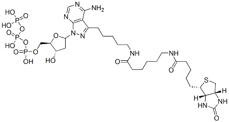 CAS 登录号：137823-47-3， 3-(5-((N-生物素基-6-氨基己酰)氨基)戊基)-1-(2-脱氧赤式呋喃戊糖基)-1H-吡唑并(3,4-d)嘧啶-4-胺-5'-三磷酸酯