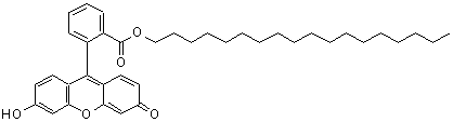 CAS#: 138833-46-2, Octadecyl 2-(6-Hydroxy-3-Oxo-3H-Xanthen-9-Yl)Benzoate