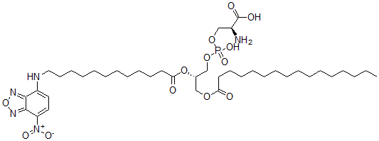 CAS 登录号：138898-75-6， (2S)-2-氨基-3-[[(2S)-3-棕榈酰氧基-2-[12-[(4-硝基-2,1,3-苯并恶二唑-7-基)氨基]月桂酰氧基]丙氧基]-羟基磷酰]氧基丙酸