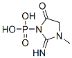 CAS#: 14307-18-7, 3-Phosphono-2-Imino-1-Methyl-4-Oxoimidazolidine
