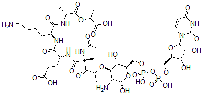 CAS 登录号：144483-60-3， 尿苷-N-乙酰基胞壁酰-丙氨酰-谷氨酰-赖氨酰-丙氨酰-乳酸盐