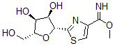 CAS#: 144660-79-7, (2R,3S,4R,5R)-2-(Hydroxymethyl)-5-[4-(Methoxycarbonimidoyl)-1,3-Thiazol-2-Yl]Oxolane-3,4-Diol