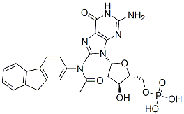 CAS 登录号：14490-86-9， 8-(N-芴-2-基乙酰氨基)-2'-脱氧鸟苷5'-单磷酸酯