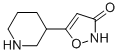 CAS 登录号：153745-69-8， 5-(3-哌啶基)-3(2H)-异恶唑酮