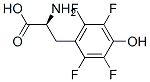 CAS#: 157807-83-5, (2R)-2-Amino-3-(2,3,5,6-Tetrafluoro-4-Hydroxyphenyl)Propanoic Acid